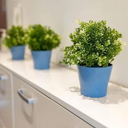 Dali Apartamento Novi Sad